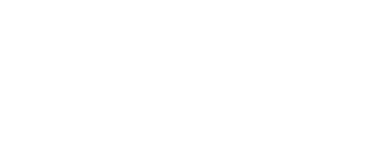 Copy of anima logo nega white